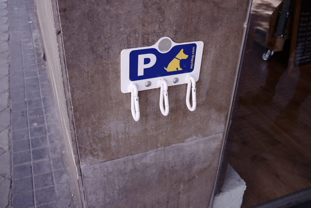Parking pour chiens