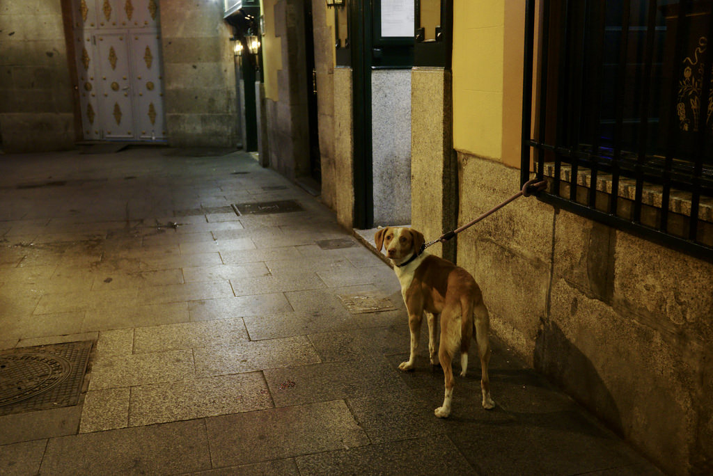 Madrid