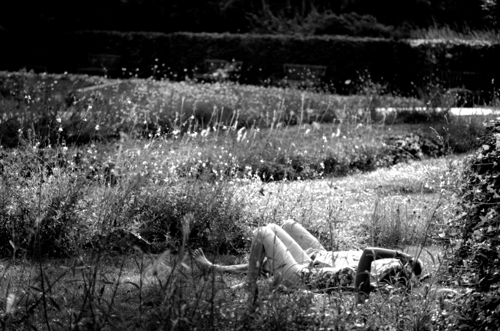alongés dans l'herbe
