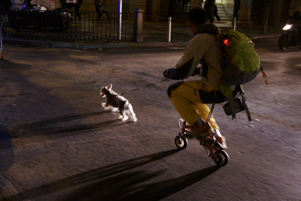 Mini-velo tir&eacute; par un mini-chien.