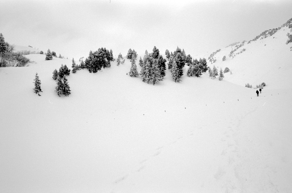 Le lendemain, le brouillard se leve