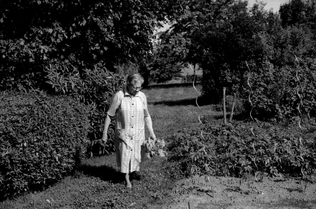 Dans le jardin