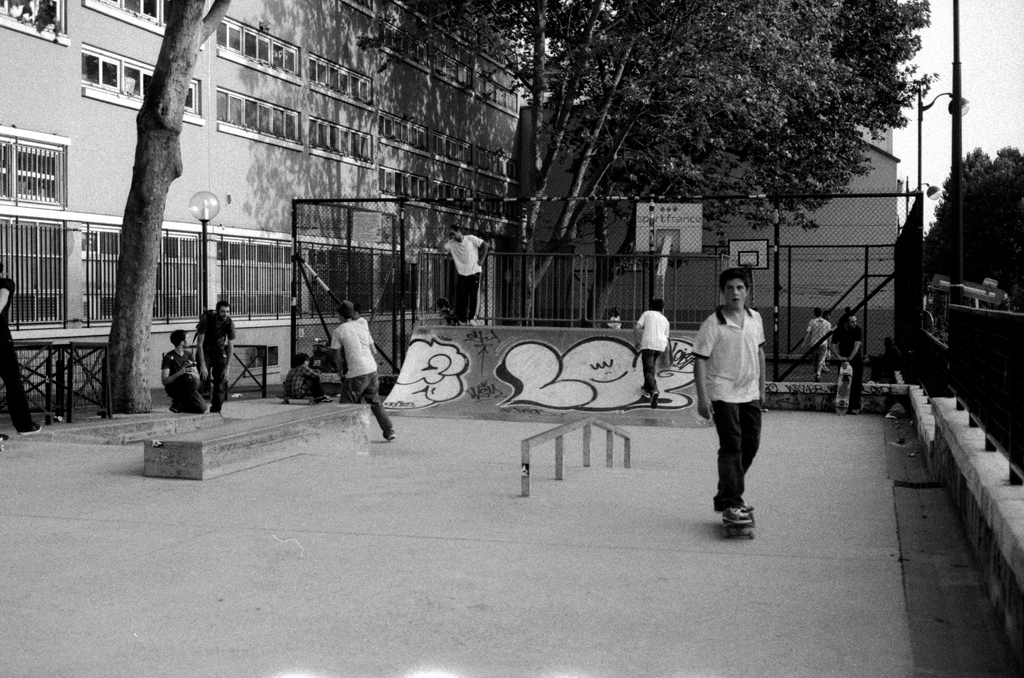 Skate Board