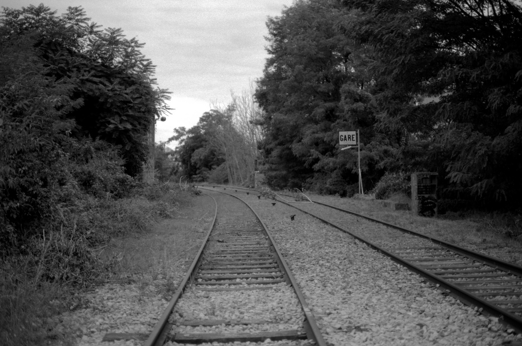 Promenade sur la petite ceinture