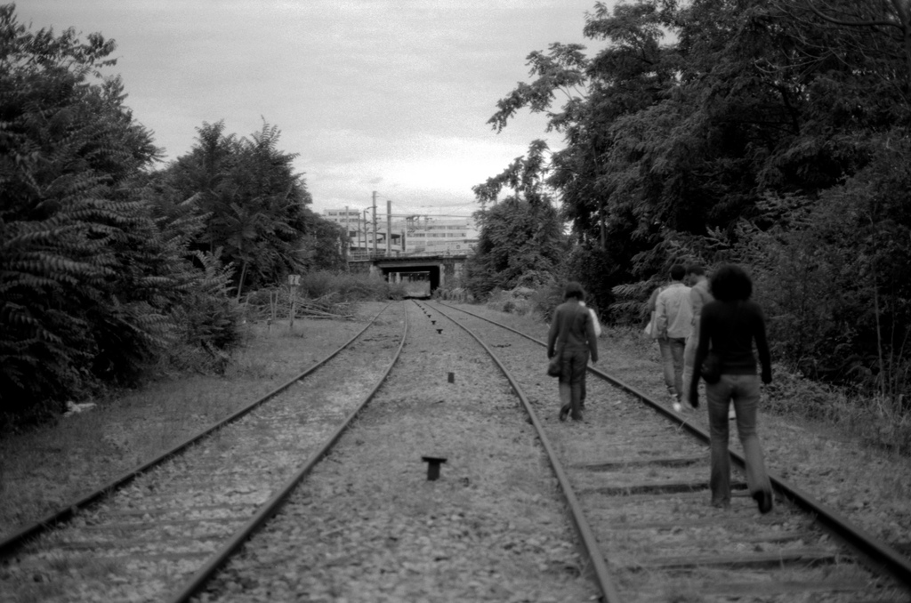 Promenade sur la petite ceinture