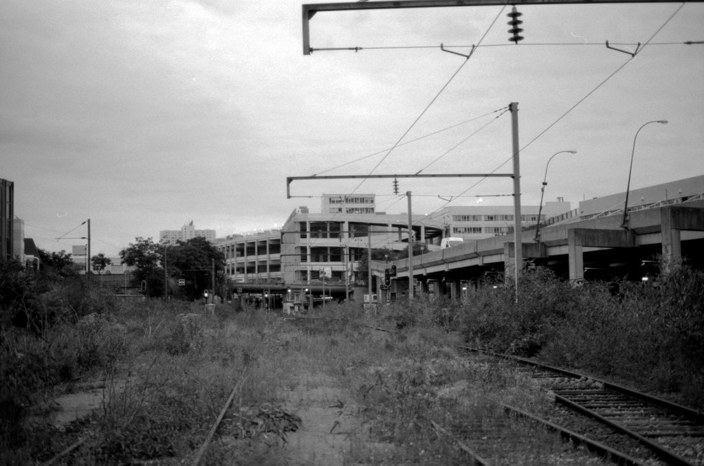 Promenade sur la petite ceinture