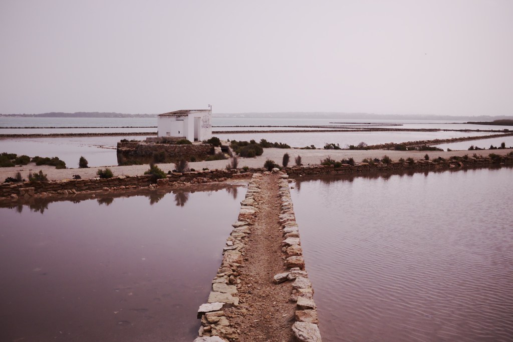 Salines