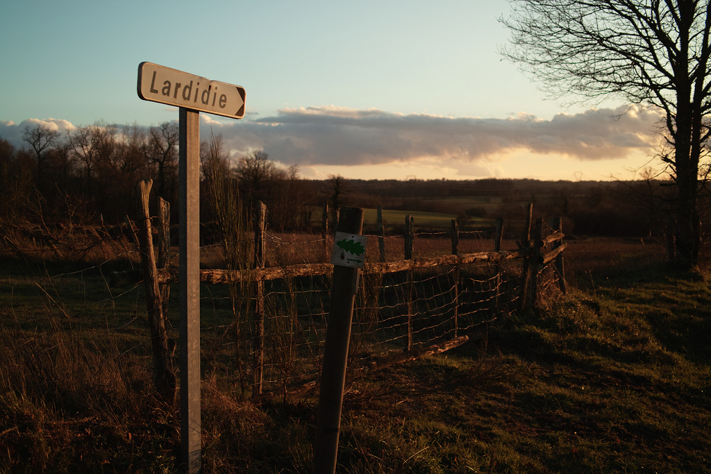 Lardidie
