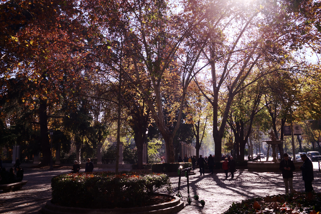 Madrid