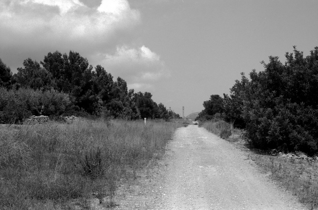 Vandell&ograve;s