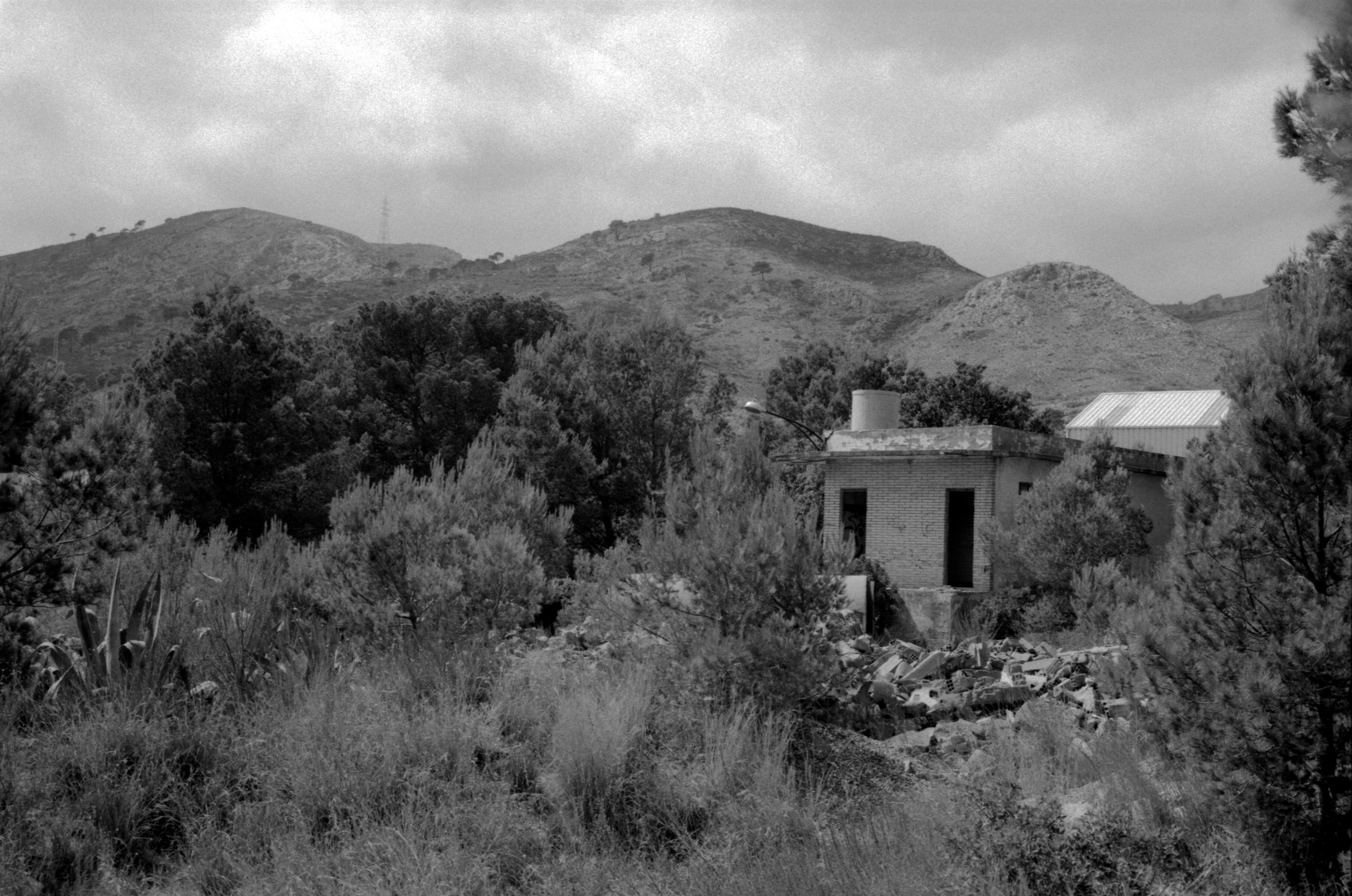 Photo 4571005331 Vandellòs