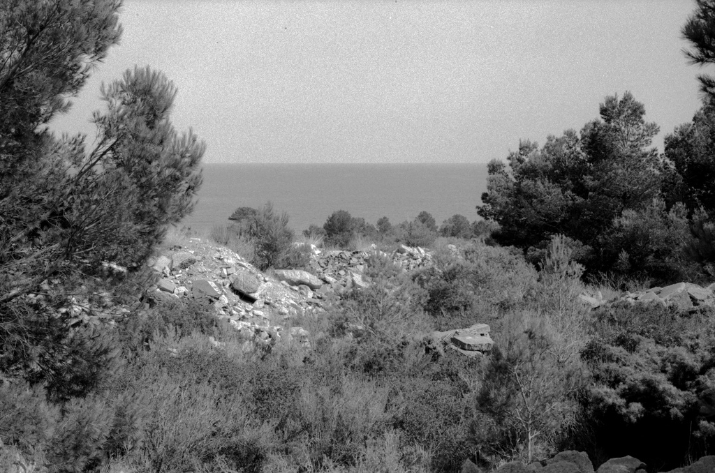 The sea