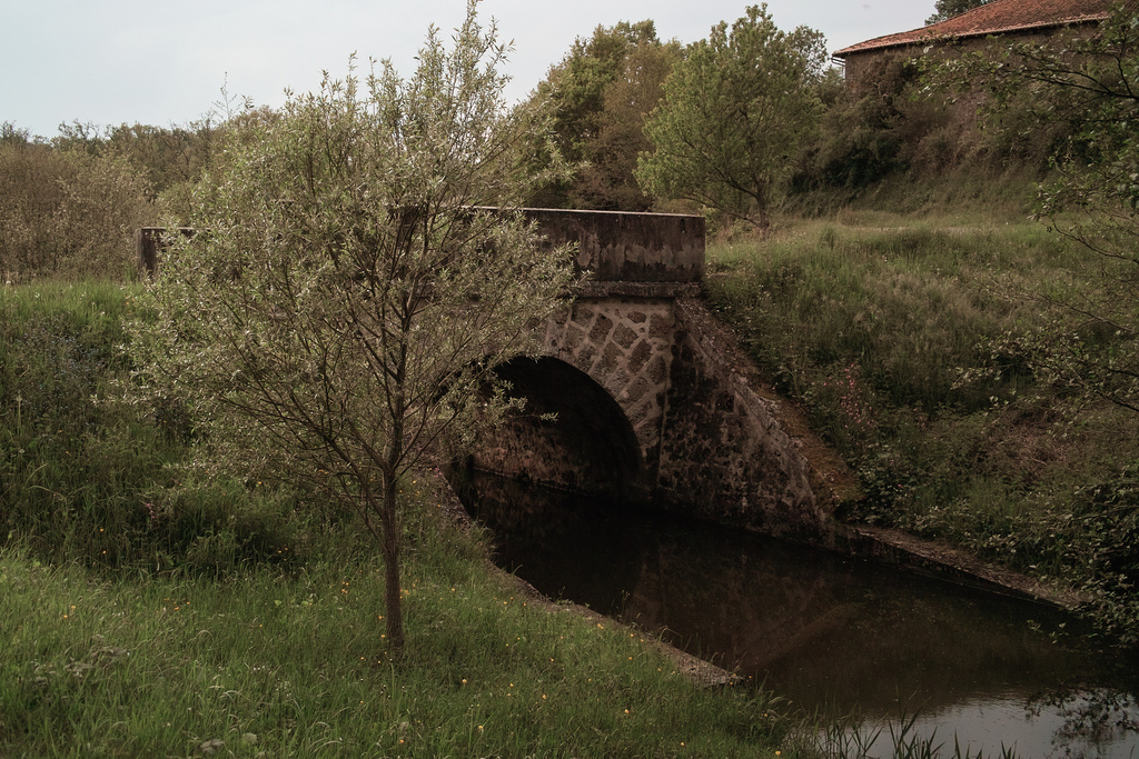 Pont