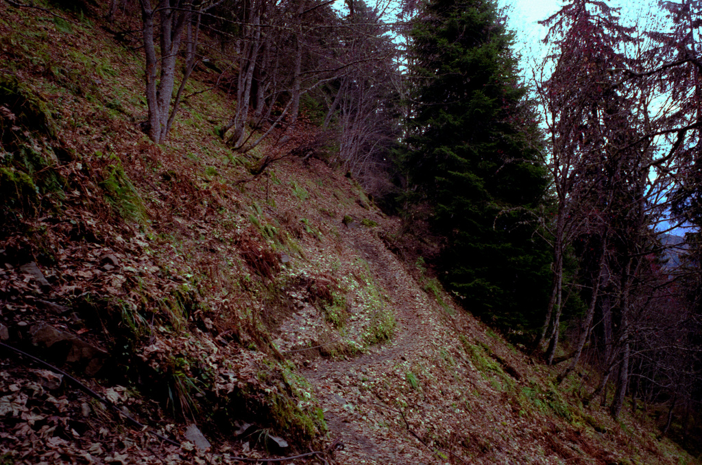 Montagne