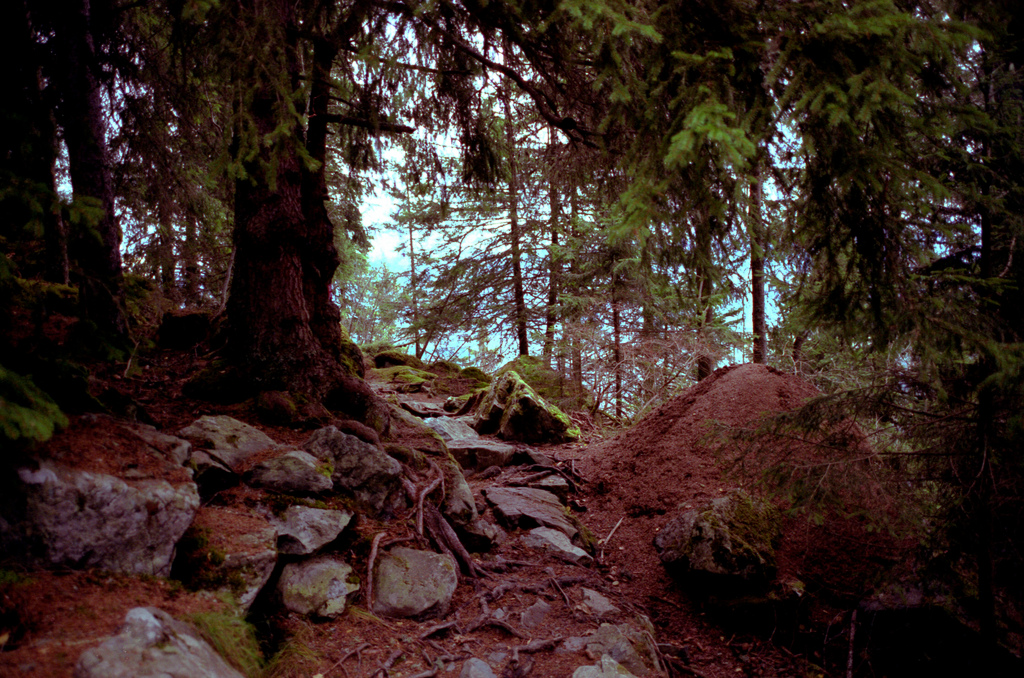 Montagne