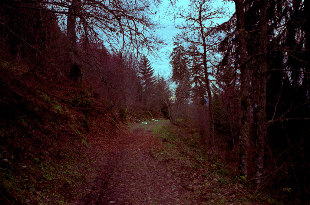 Montagne