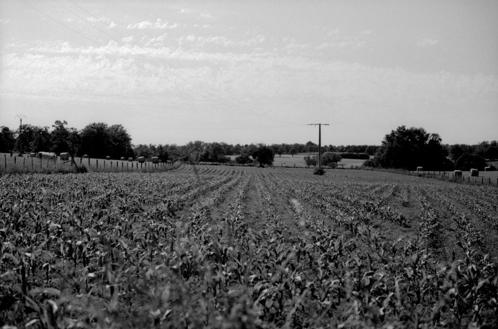 &Agrave; la campagne