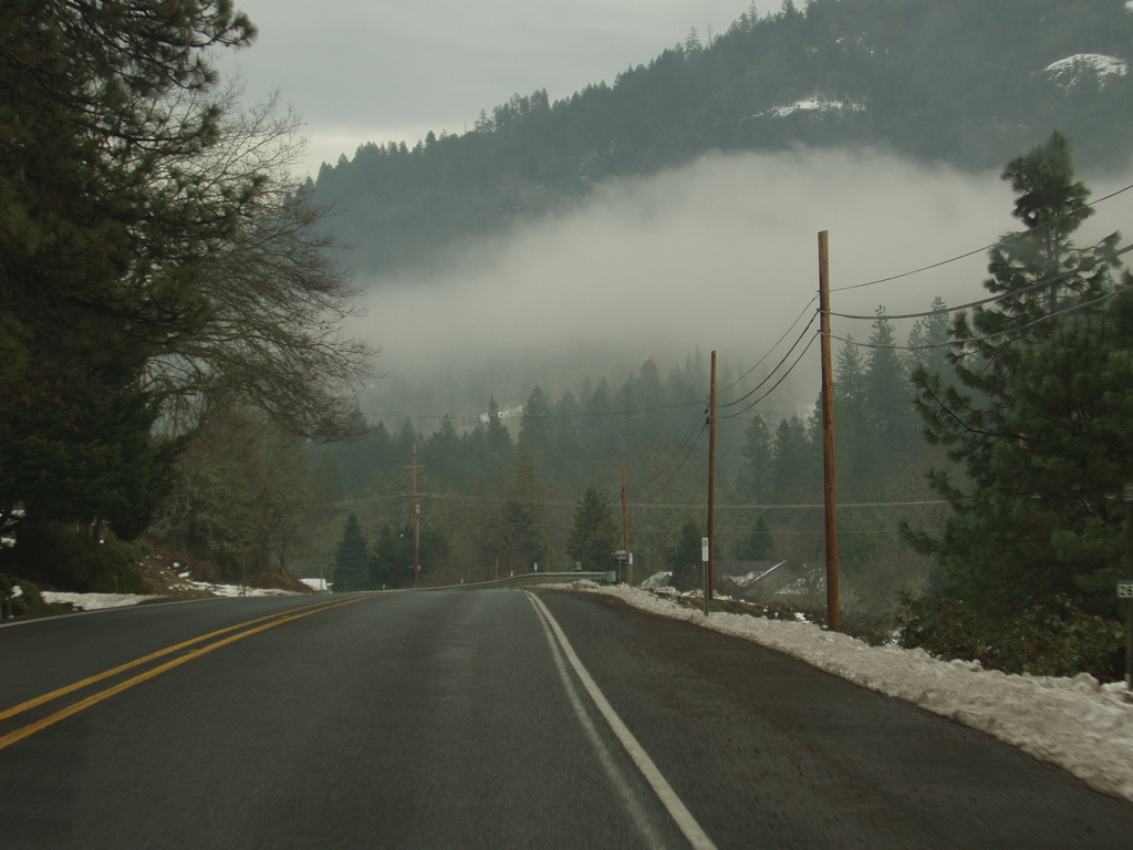 Fog