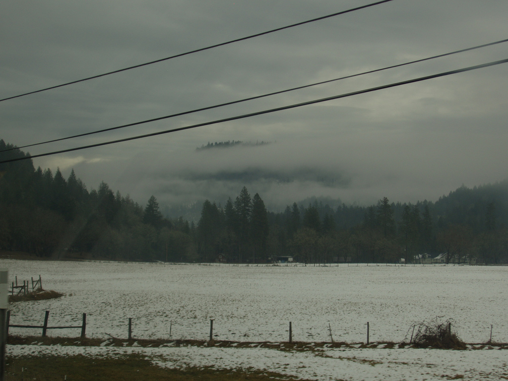 fog