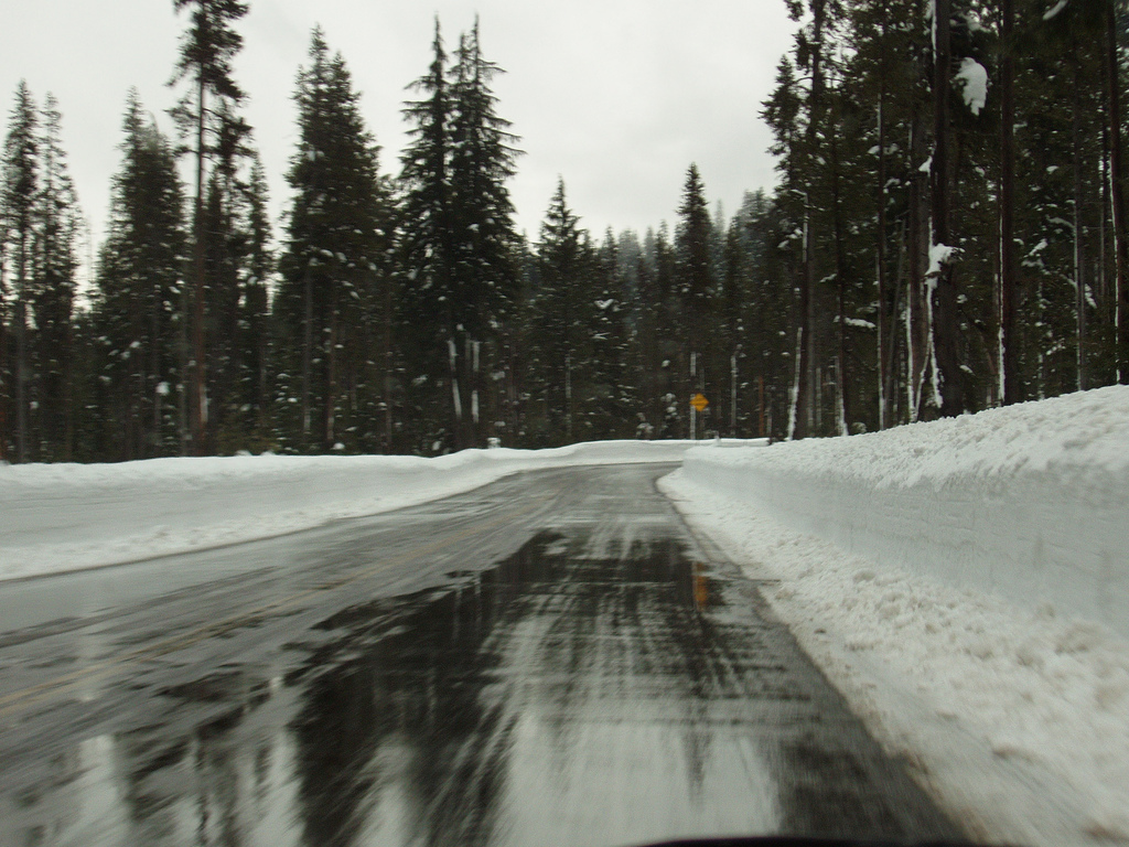 Road in the forest and the snow