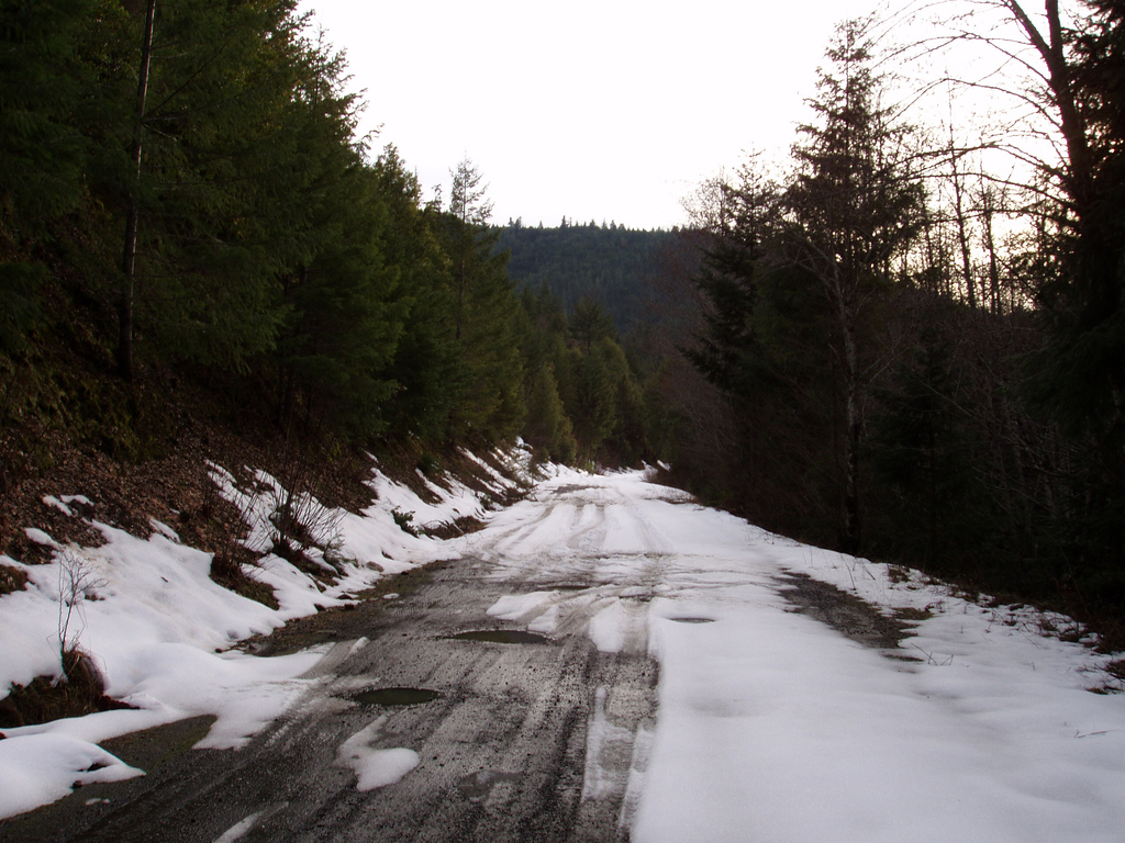 snow on the road