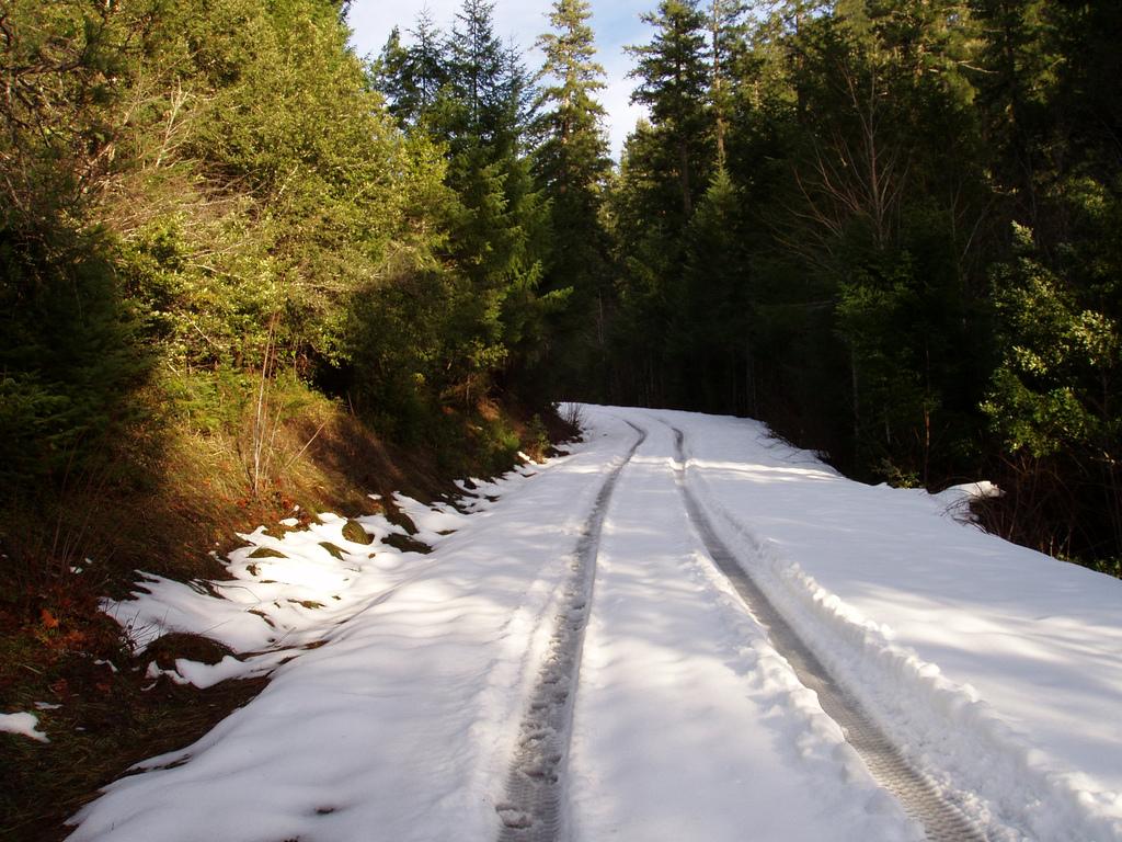 snow on the road