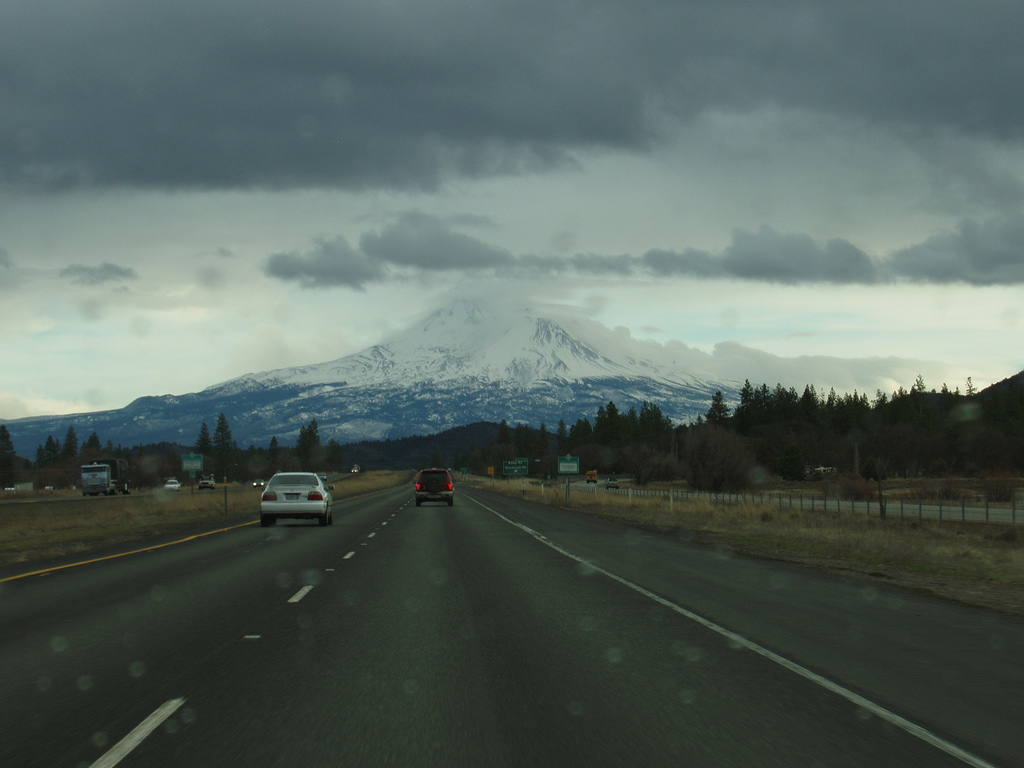 Shasta