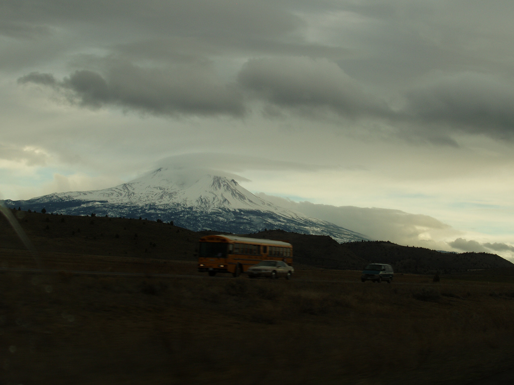 Shasta