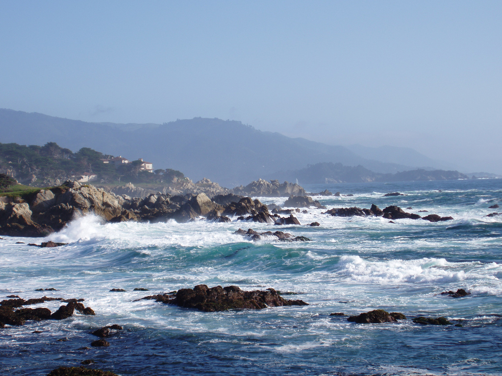 Sea