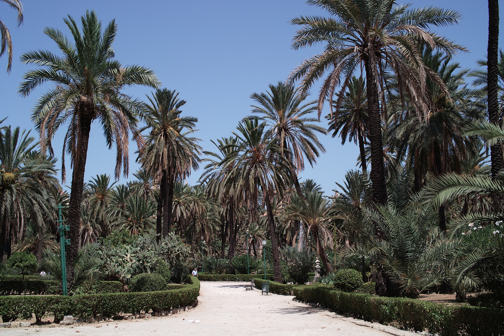 Palermo