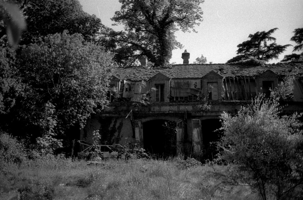 A castle in the forest