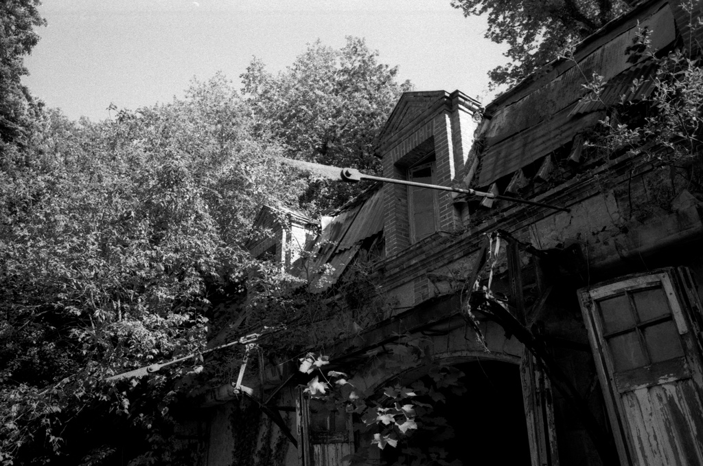 A castle in the forest