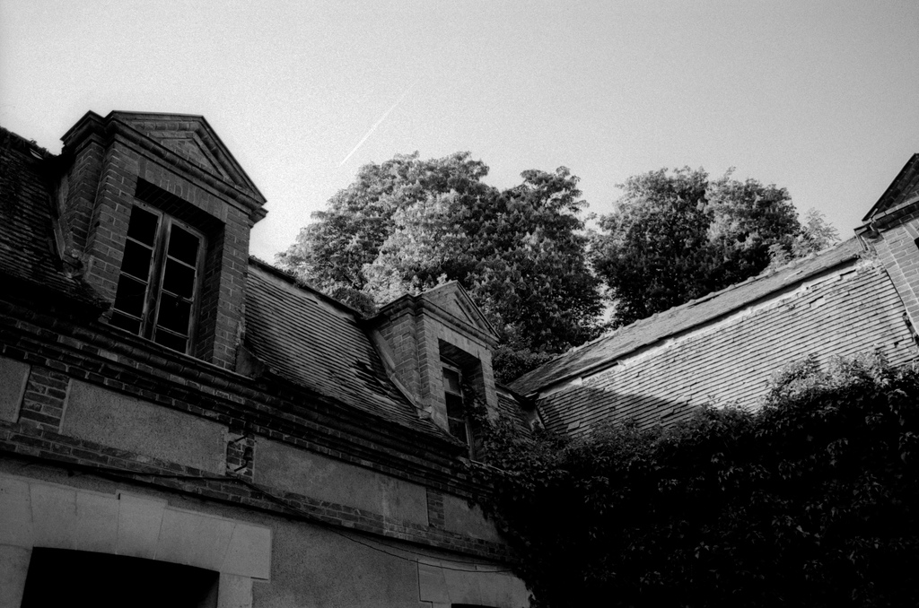 A castle in the forest