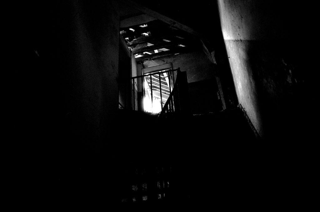 A castle in the forest