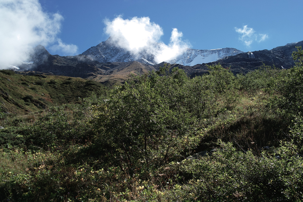 Mont&eacute;e vers Plan Glacier