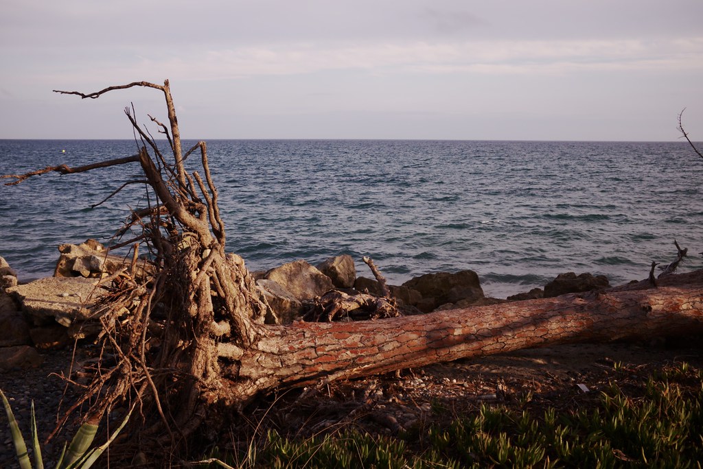 Playa de Mont-roig del Camp