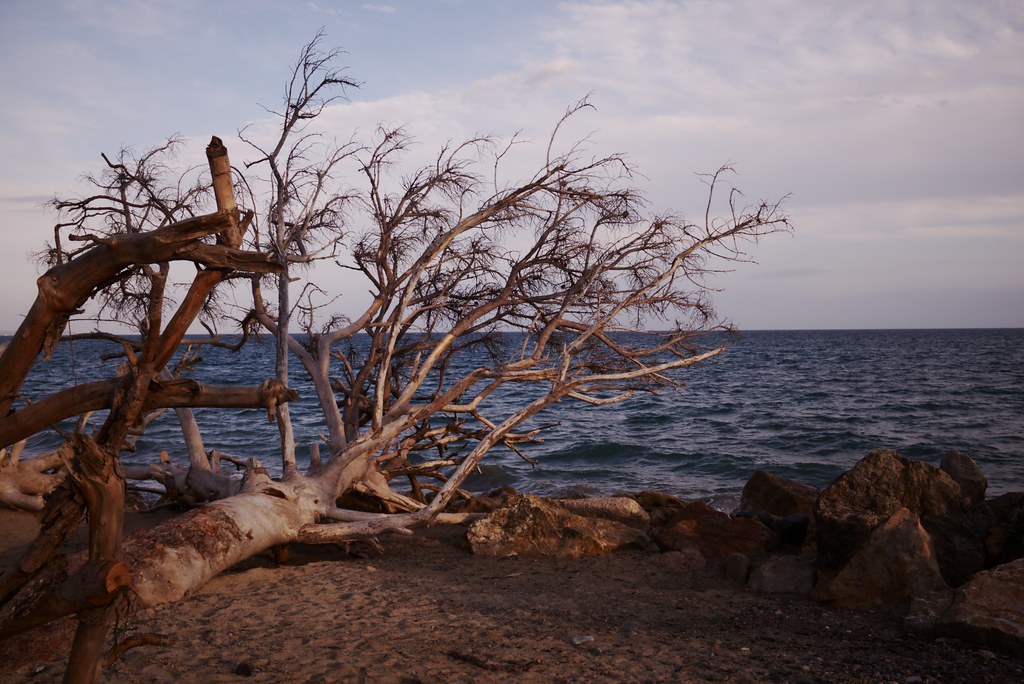 Playa de Mont-roig del Camp