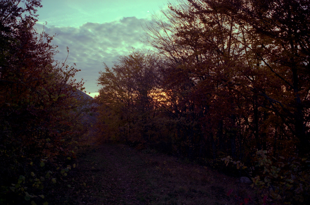 Le soir