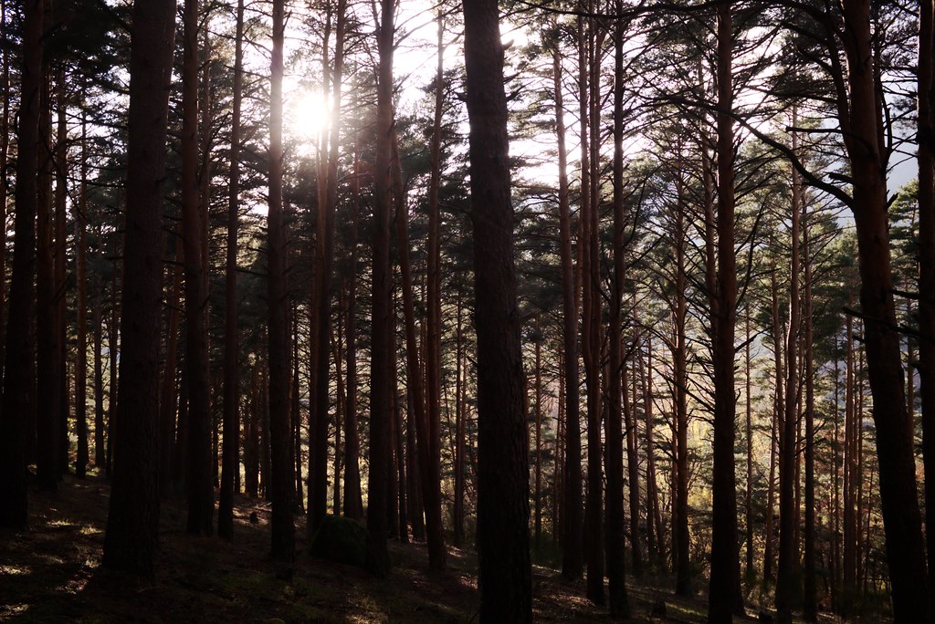 Sierra de Guadarrama