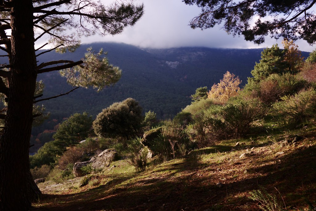 Sierra de Guadarrama