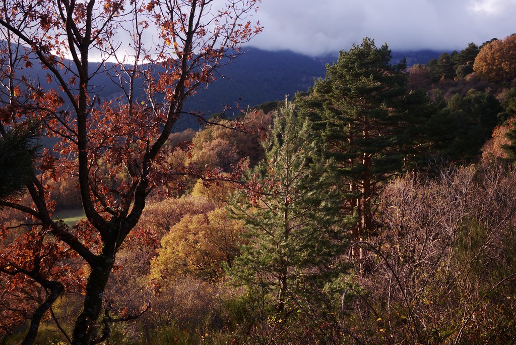 Sierra de Guadarrama