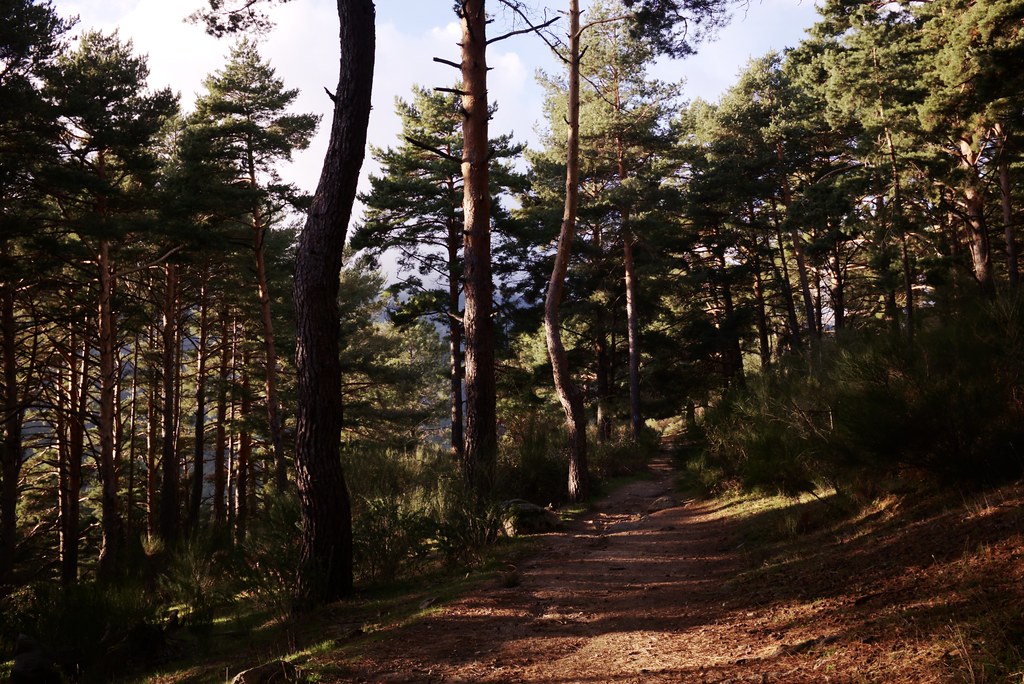 Sierra de Guadarrama