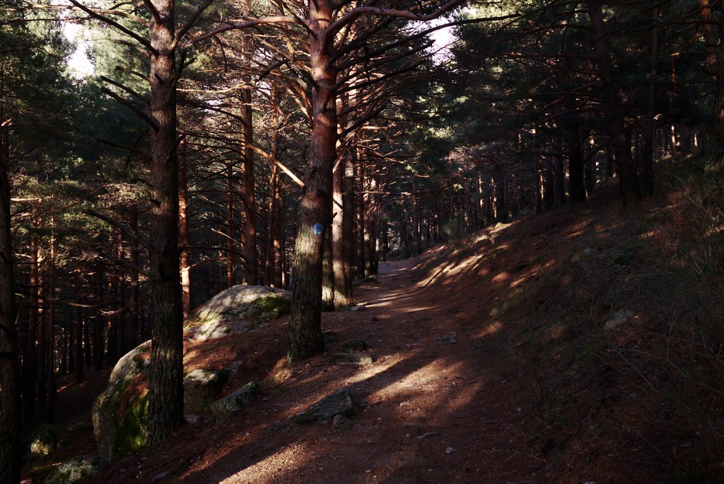 Sierra de Guadarrama