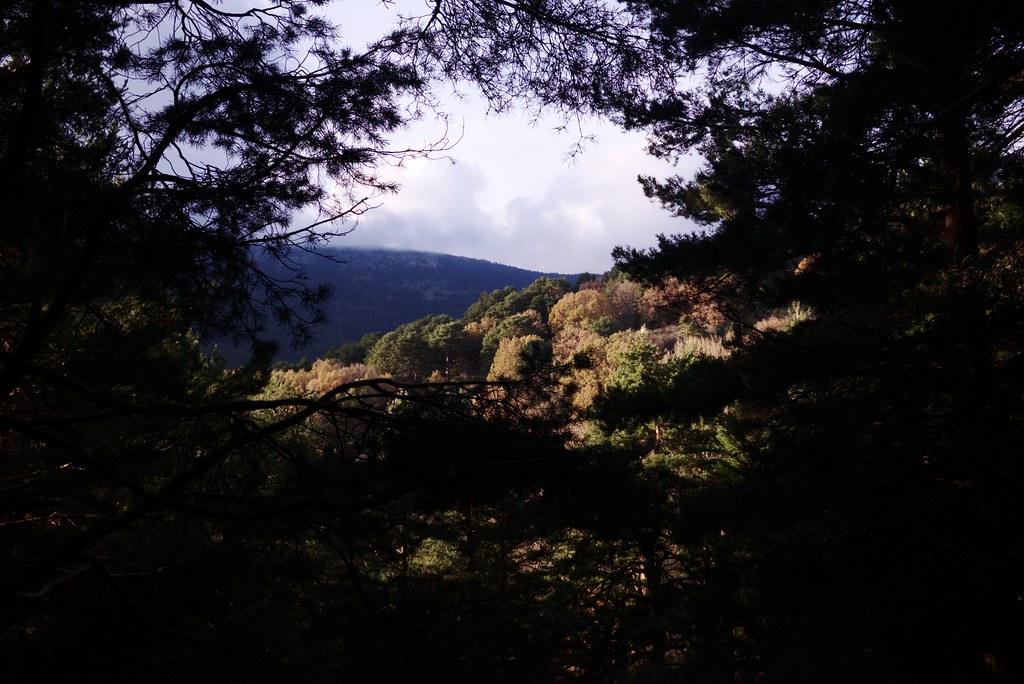 Sierra de Guadarrama