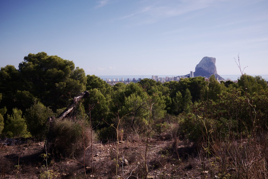 Calp