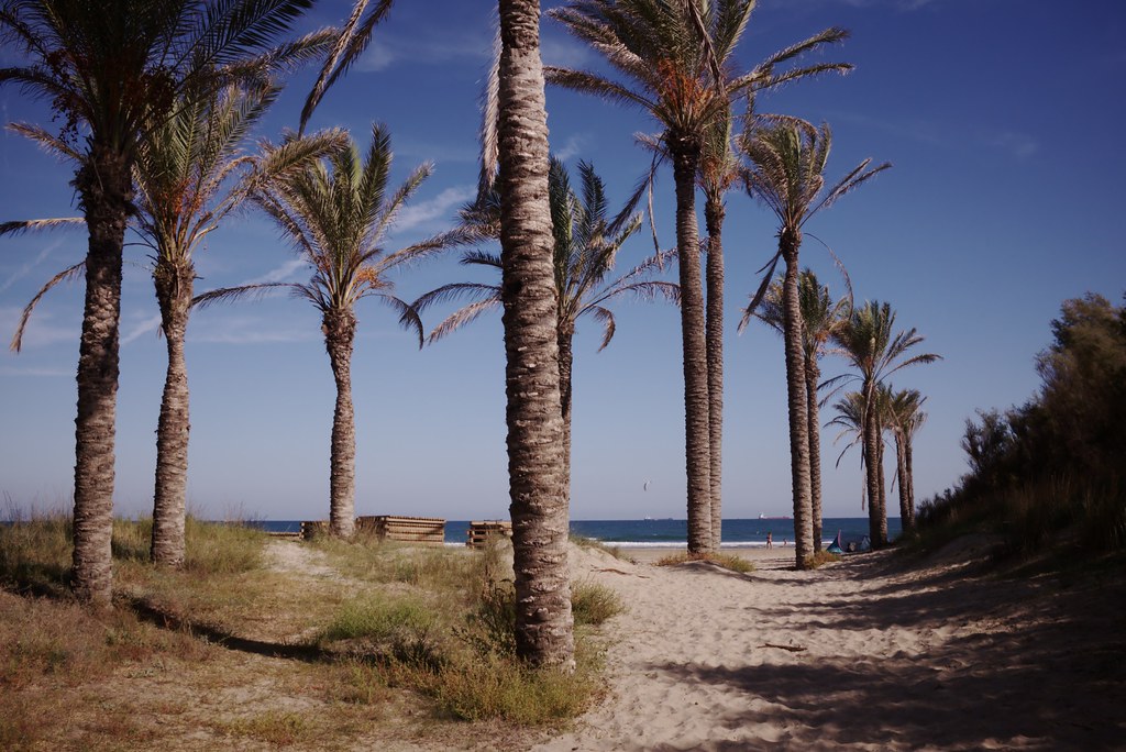 Castell&oacute; de la Plana
