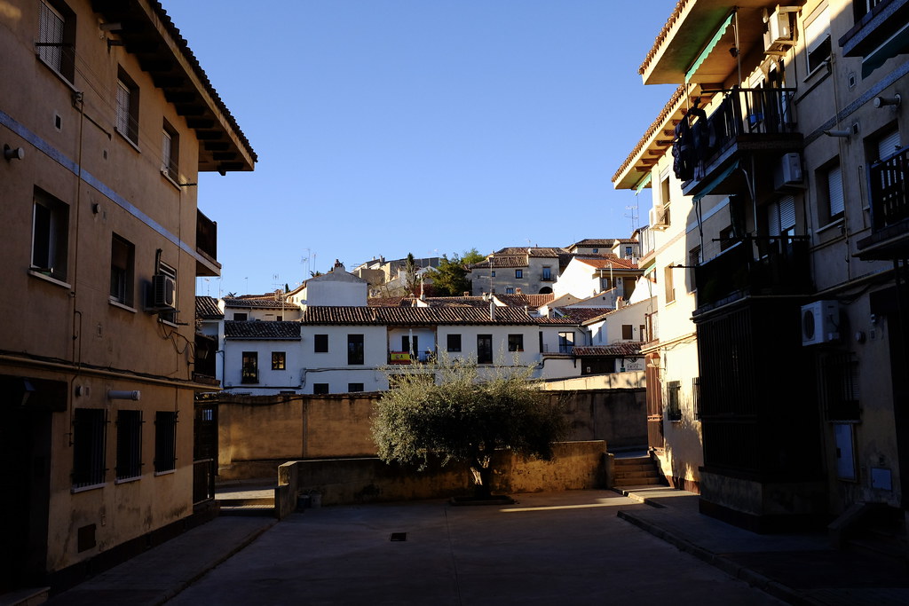 Chinch&oacute;n