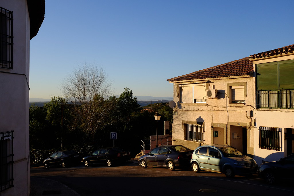 Chinch&oacute;n