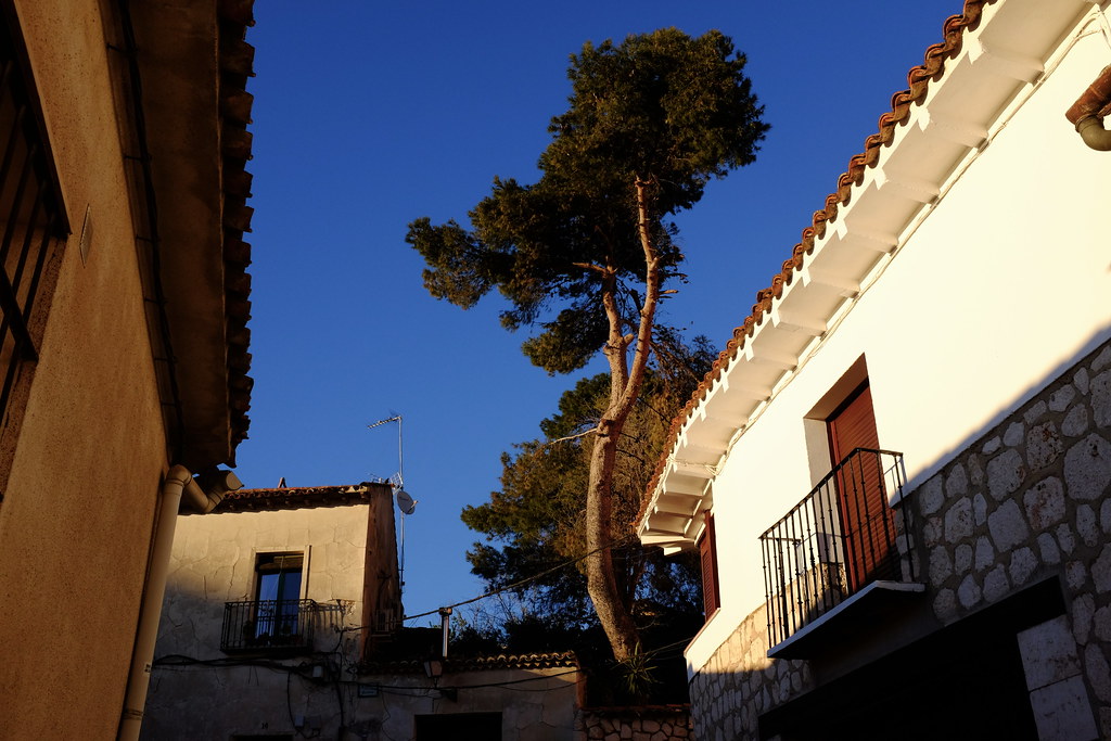 Chinch&oacute;n