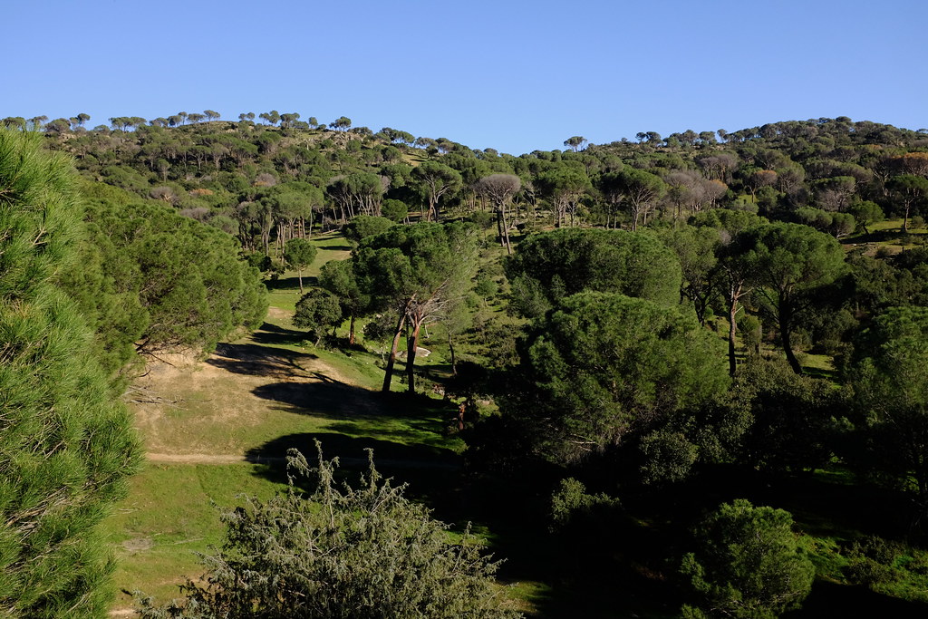 Pantano de San Juan